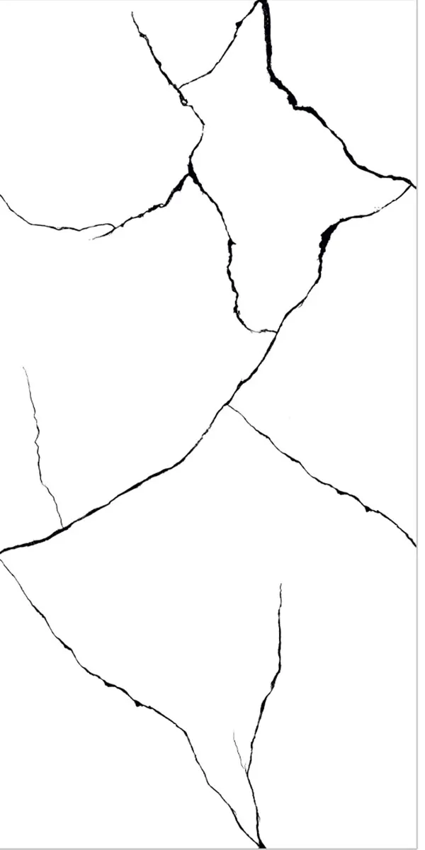 Glossy Finish Eros White  PGVT 600x1200mm