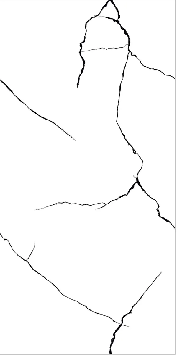 Glossy Finish Eros White  PGVT 600x1200mm