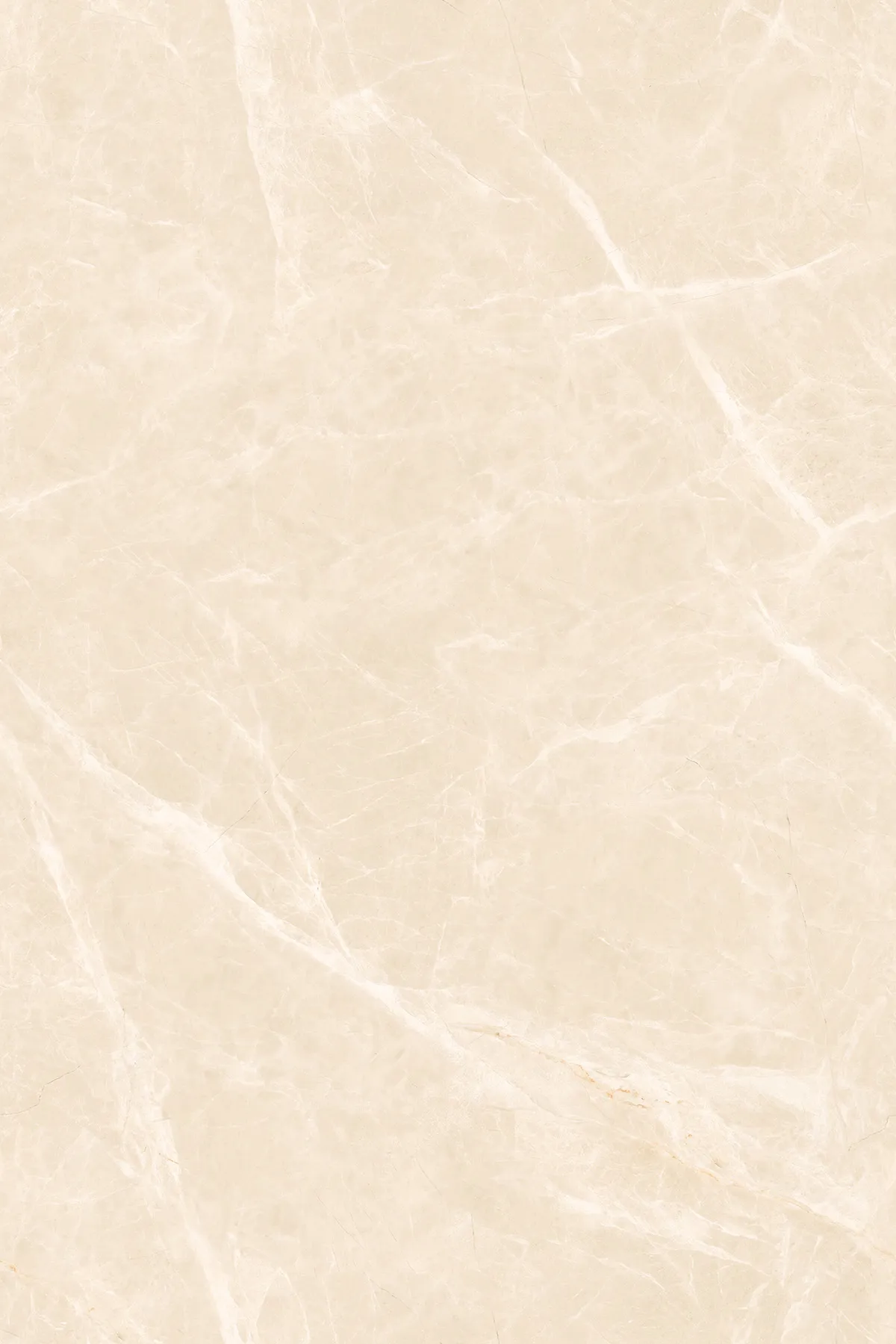 Glossy Finish Evolic Brown PGVT 1200x1800mm