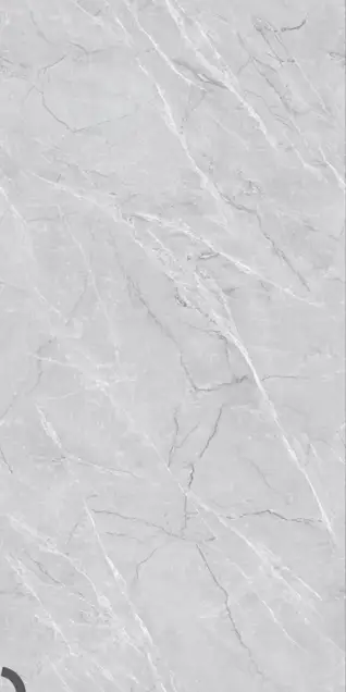 Glossy Finish Fenice Grey 600x1200mm