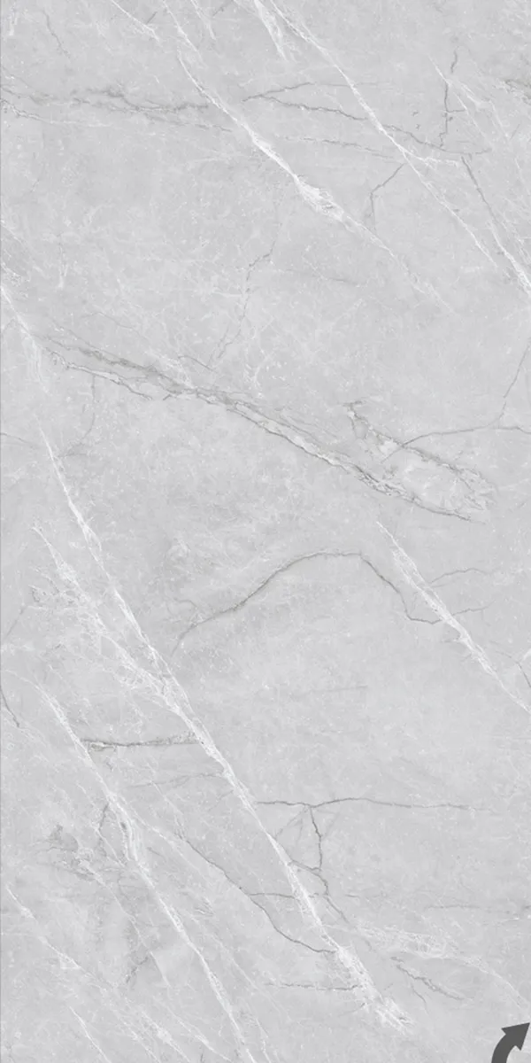 Glossy Finish Fenice Grey PGVT 600x1200mm