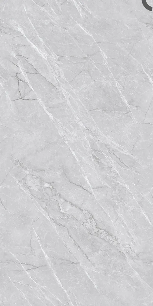 Glossy Finish Fenice Grey PGVT 600x1200mm