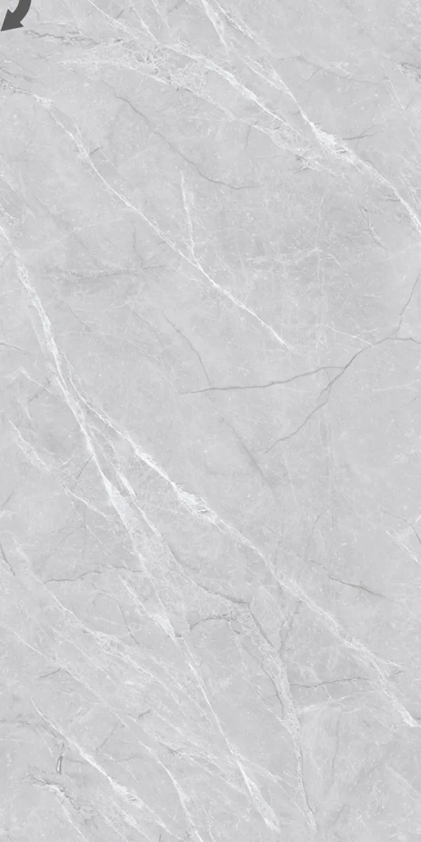 Glossy Finish Fenice Grey PGVT 600x1200mm