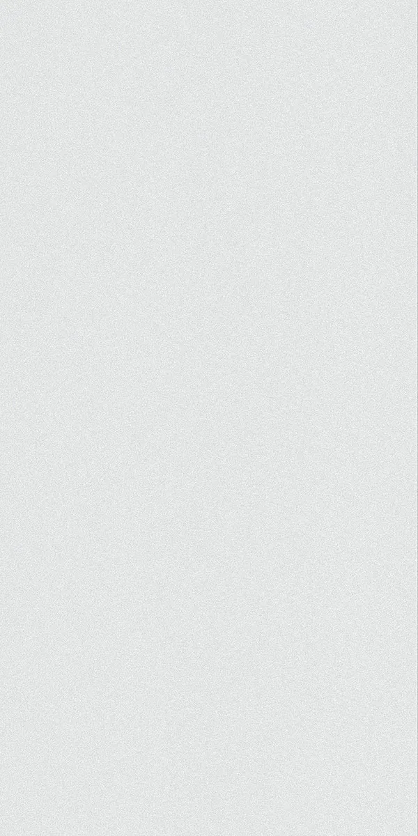 Glossy Finish Fenno Light Grey PGVT 600x1200mm