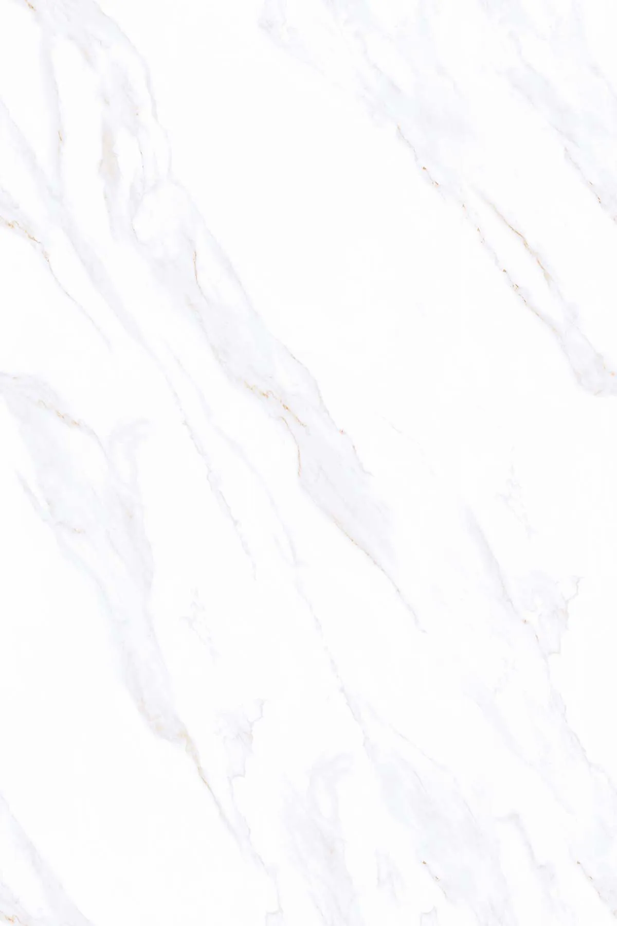 Glossy Finish FLUR STATUARIO PGVT 1200x1800mm