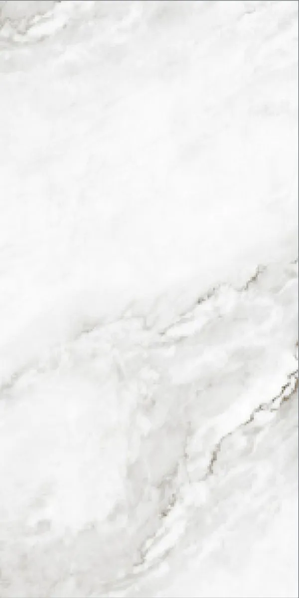 Glossy Finish Forest White  PGVT 600x1200mm