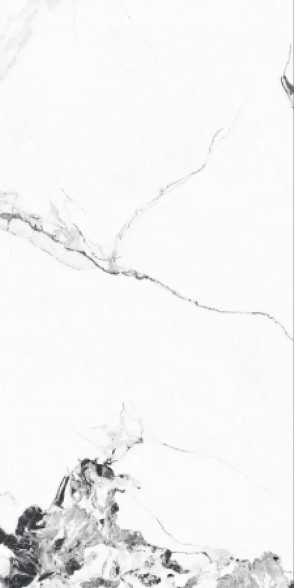 Glossy Finish G 1011 PGVT 600x1200mm