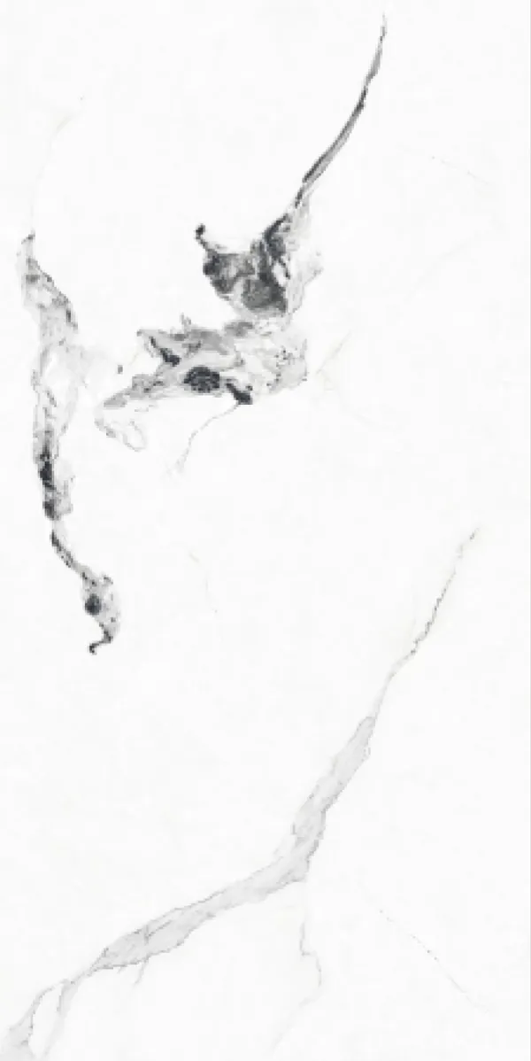 Glossy Finish G 1011 PGVT 600x1200mm