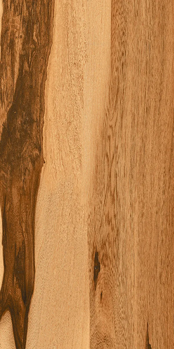 High Glossy Finish GERMAN WOOD PGVT 600x1200mm