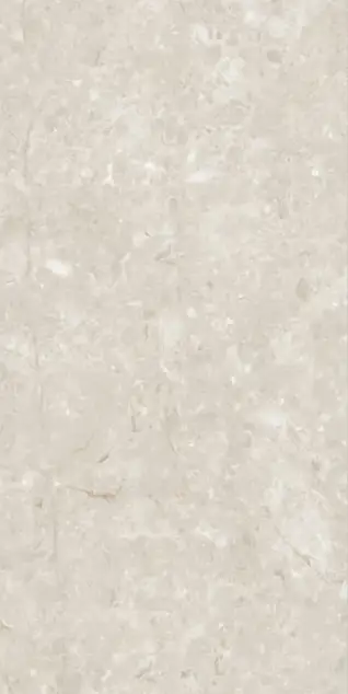 Glossy Finish French Chiffon CE 266 PGVT 600x1200mm
