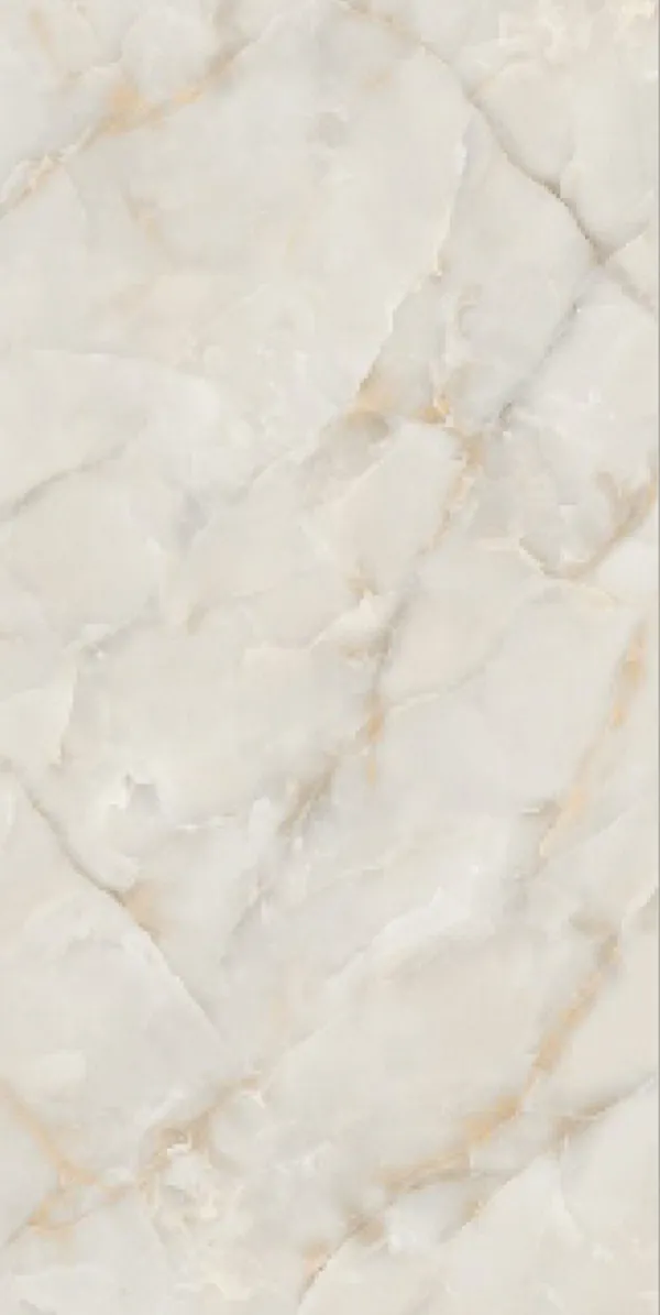 Glossy Finish Coco Onyx PGVT 600x1200mm