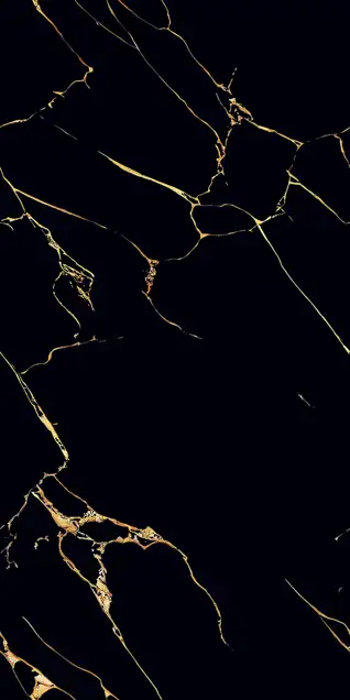 Super Highglossy Finish CALACATTA BLACK GOLD 600x1200mm