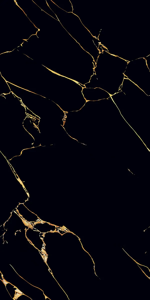 Super Highglossy Finish CALACATTA BLACK GOLD 600x1200mm