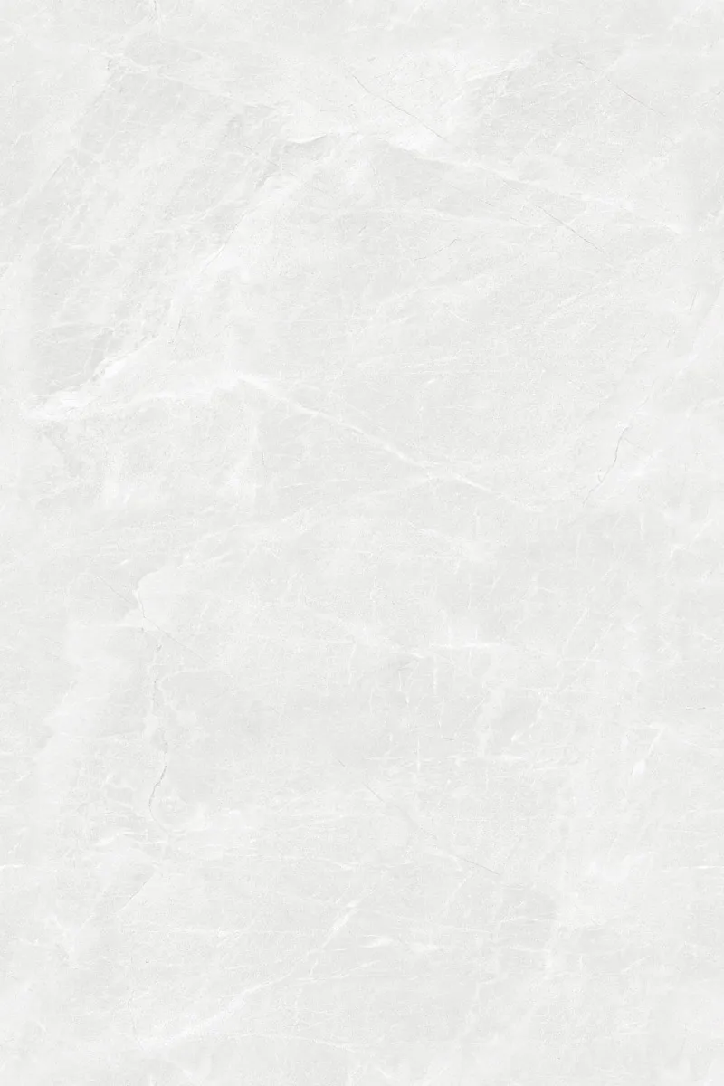 Glossy Finish EL Ford White PGVT 800x1200mm