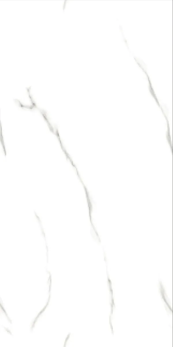 Glossy Finish Montage Grey EM  PGVT 600x1200mm