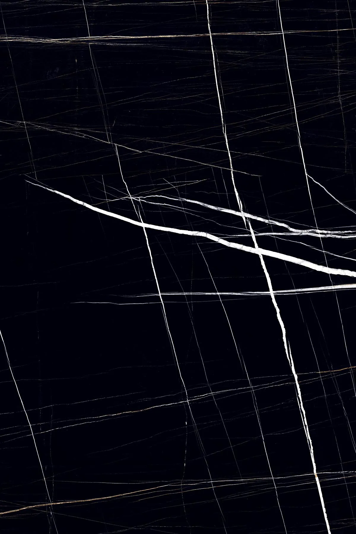 High Glossy Finish Nero Markinia PGVT 1200x1800mm