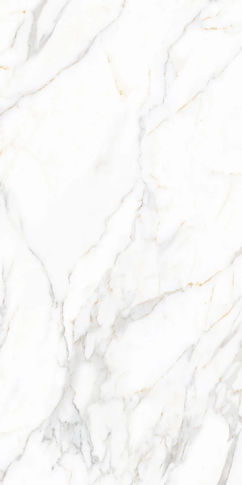 Glossy Finish Nor Gold(800x1600) PGVT 800x1600mm