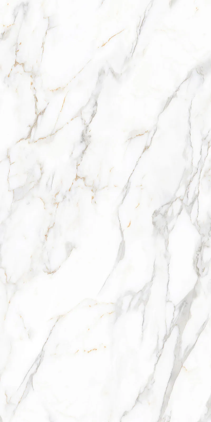 Glossy Finish Nor Gold(800x1600) PGVT 800x1600mm