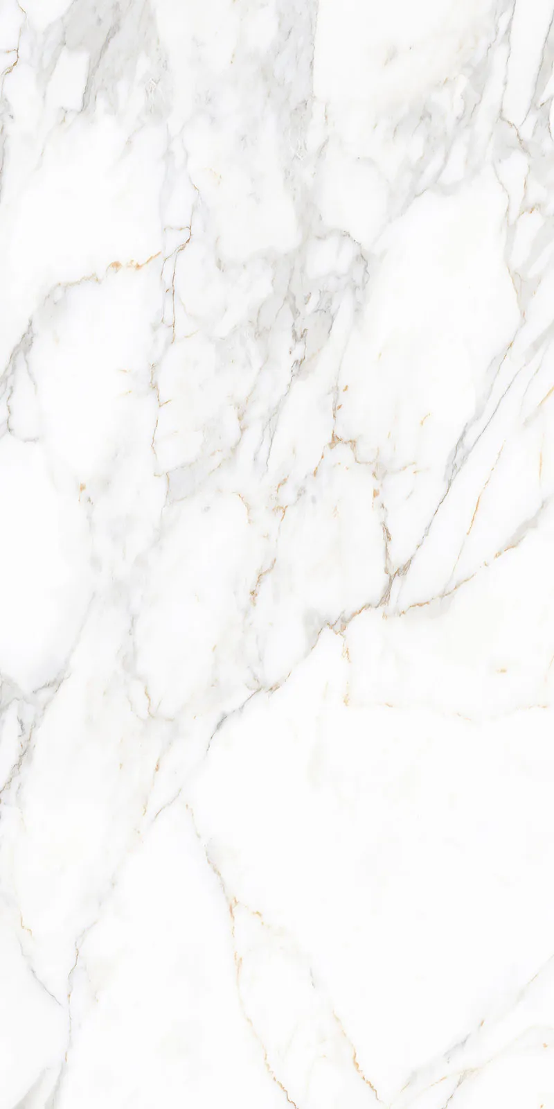 Glossy Finish Nor Gold(800x1600) PGVT 800x1600mm