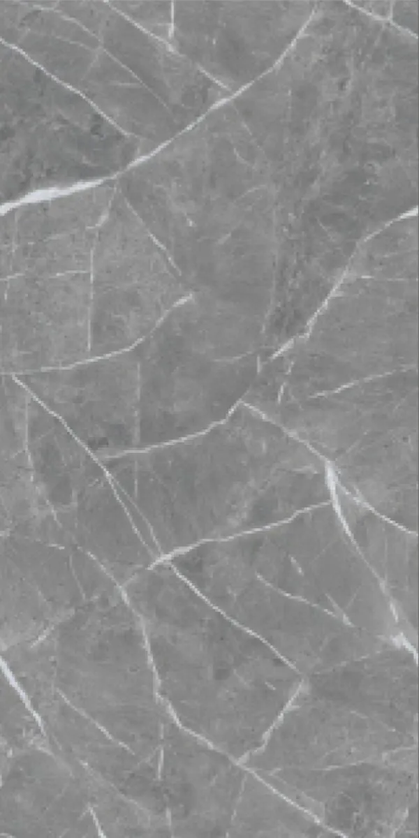 Glossy Finish Orion Ash  PGVT 600x1200mm