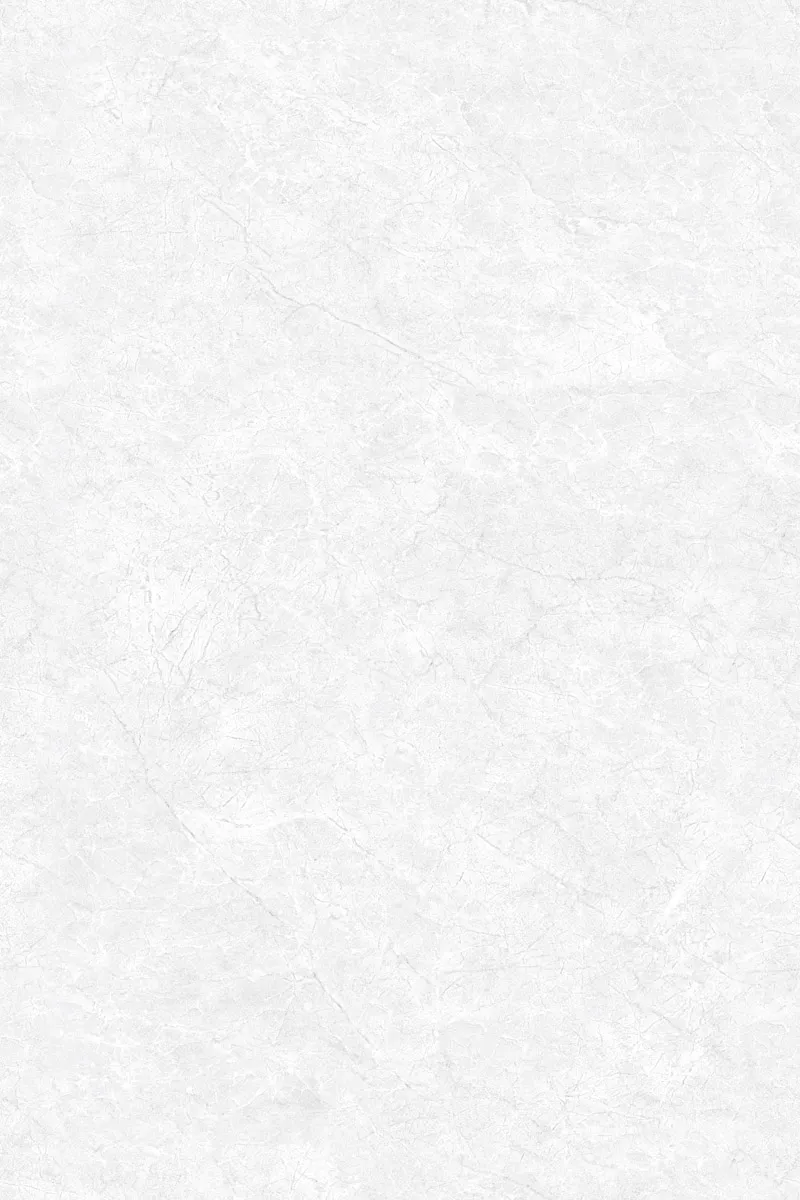 Glossy Finish EL Oyster Bianco PGVT 800x1200mm