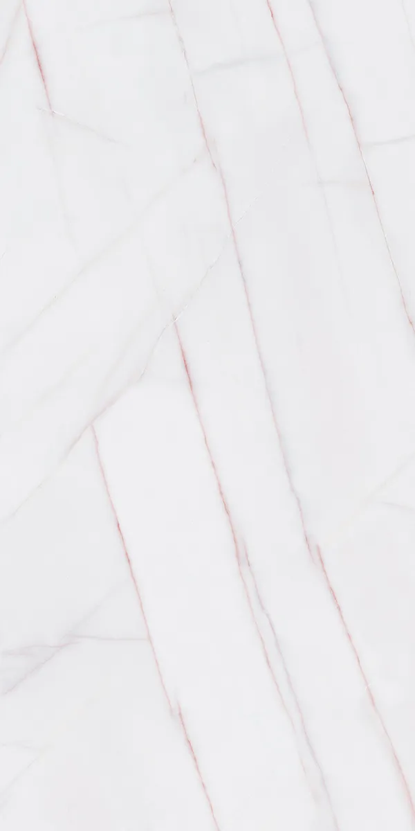 Pantone Marmo White 600x1200mm Semi Highglossy PGVT tile in a marble look