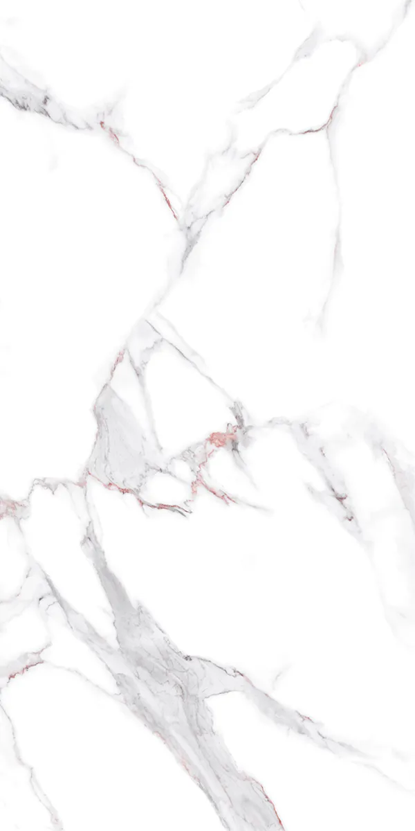 Semi Highglossy Finish Pantone Paradiese White PGVT 600x1200mm