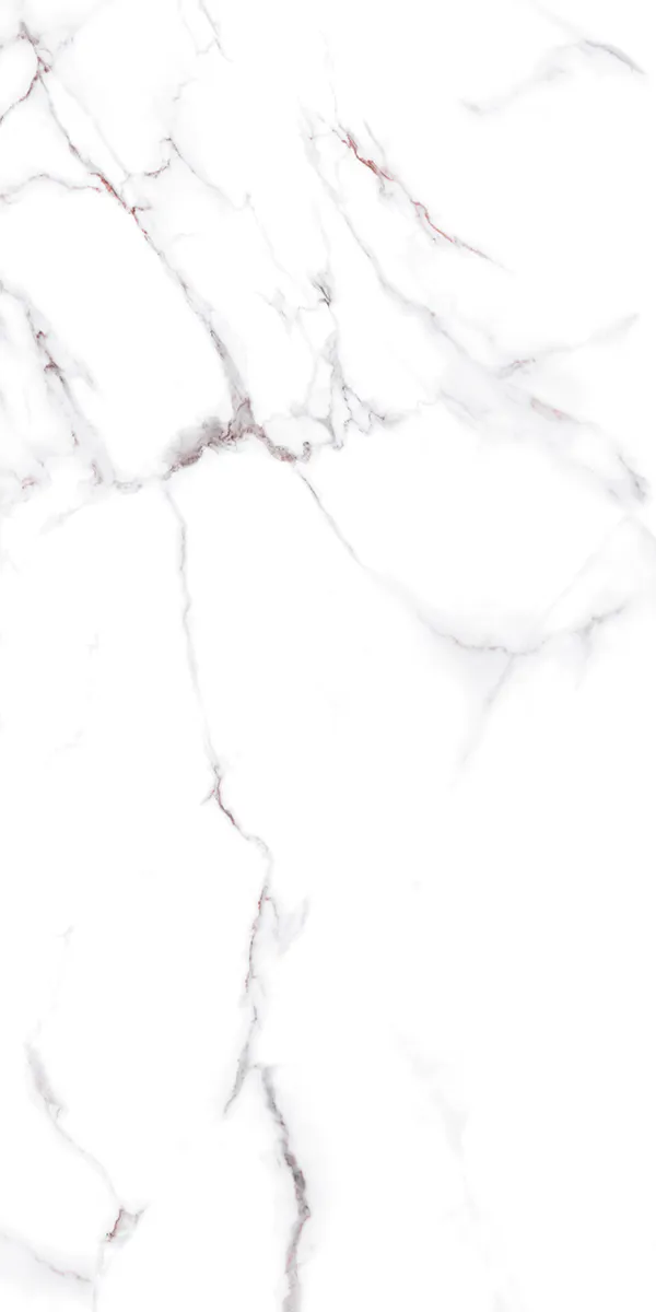 Semi Highglossy Finish Pantone Paradiese White PGVT 600x1200mm