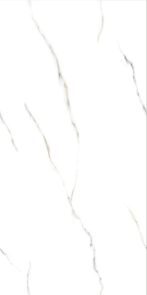 Glossy Finish Phantom Bianco  PGVT 600x1200mm