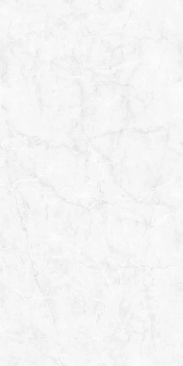 PHONIX LIGHT 600x1200mm Glossy PGVT tile in a marble look