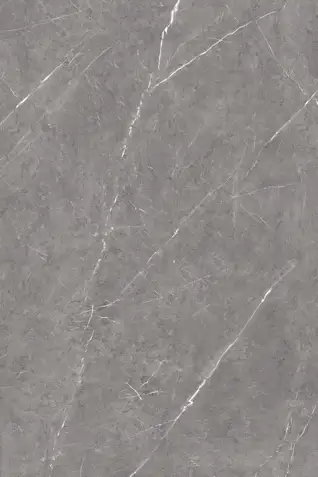 Glossy Finish President Gris  800x1200mm