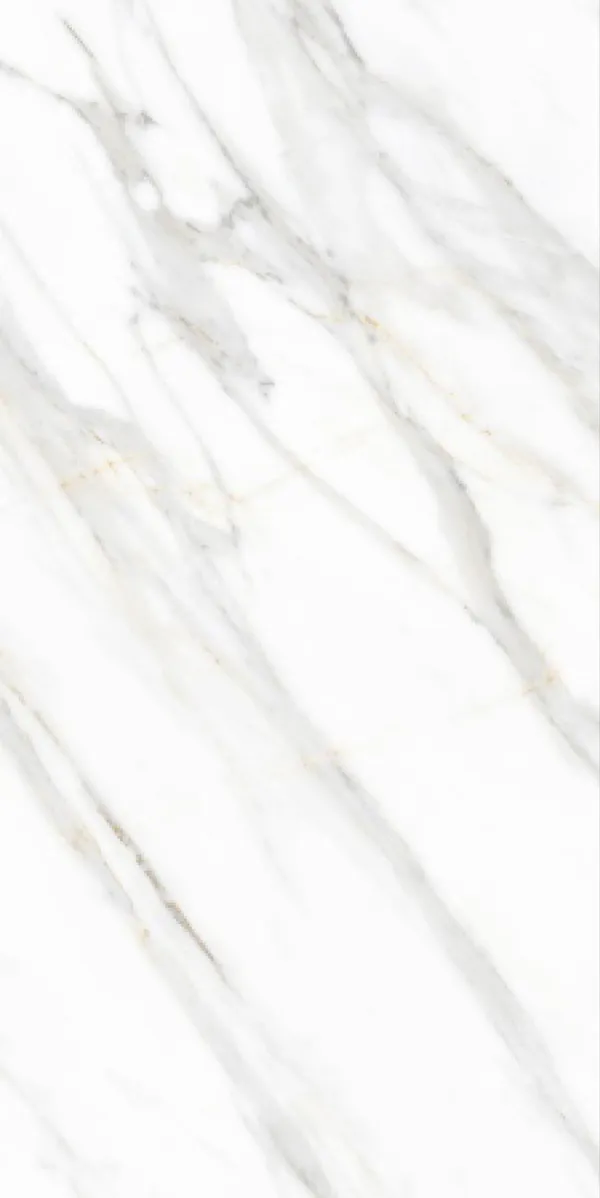 Glossy Finish Ranger White  PGVT 600x1200mm