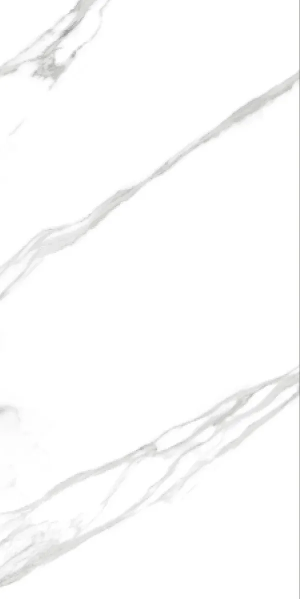 Glossy Finish Regal Statuario  PGVT 600x1200mm