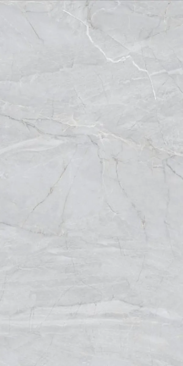 Glossy Finish Rome Gris PGVT 600x1200mm