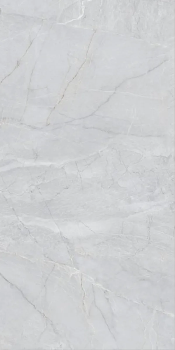 Glossy Finish Rome Gris PGVT 600x1200mm