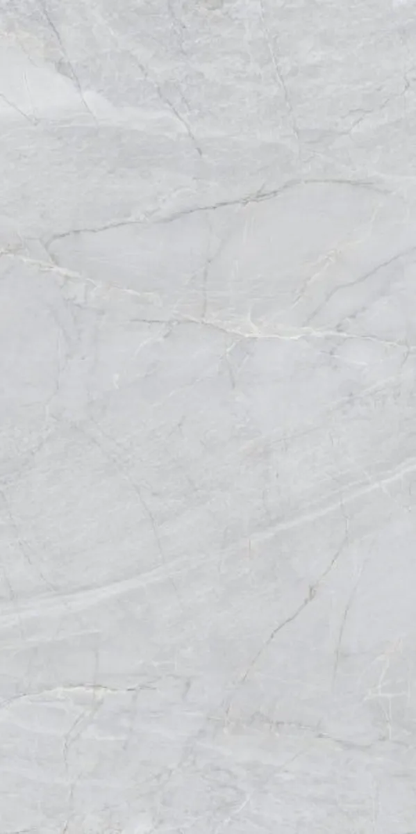 Glossy Finish Rome Gris PGVT 600x1200mm