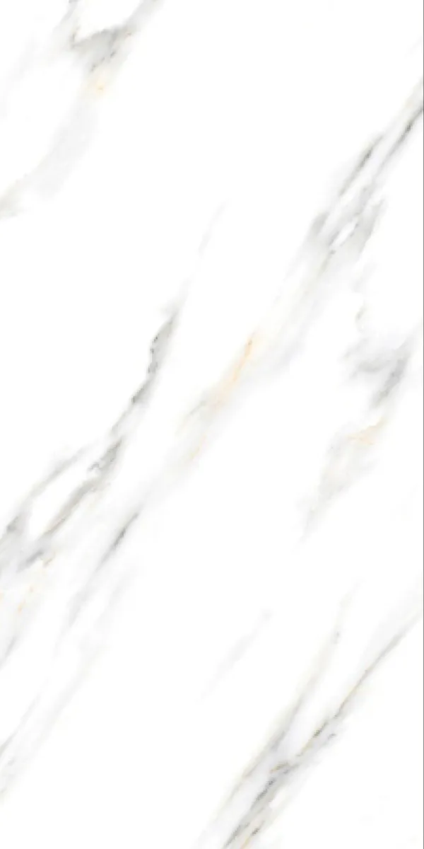 Glossy Finish Royal Expose  PGVT 600x1200mm