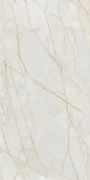 Glossy Finish Titanium Savona Gold  600x1200mm