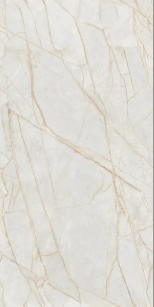 Glossy Finish Titanium Savona Gold  PGVT 600x1200mm