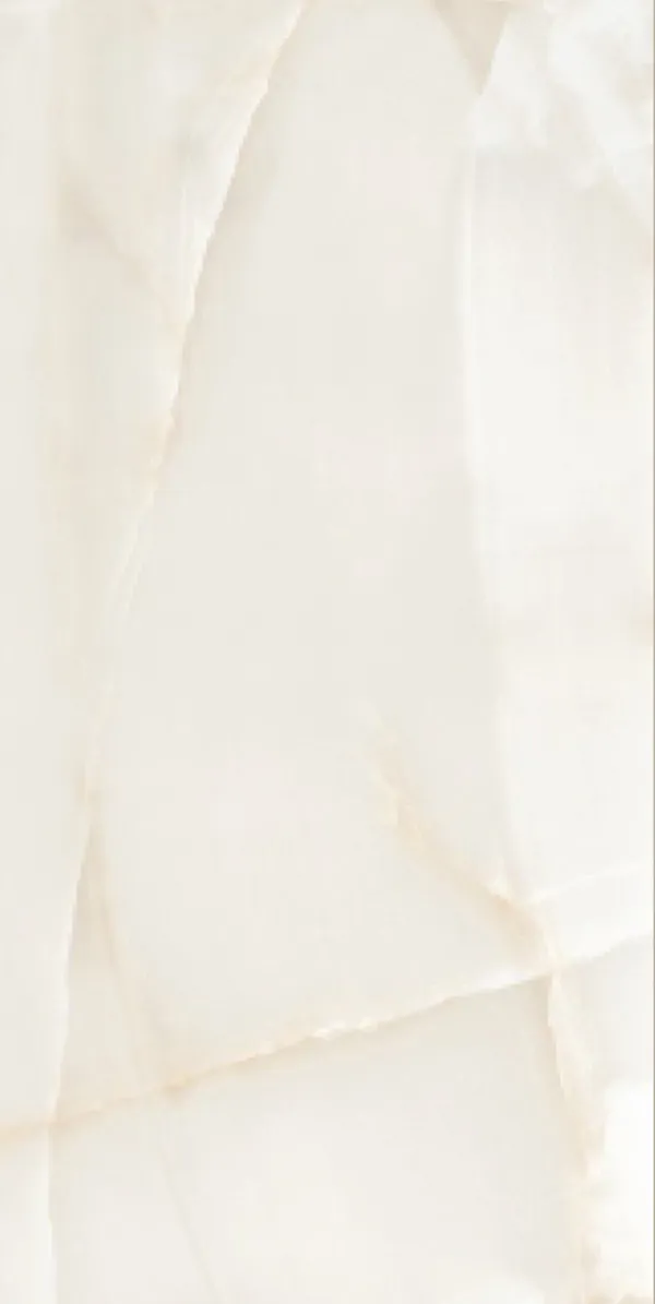 Glossy Finish Dignify Onyx PGVT 600x1200mm