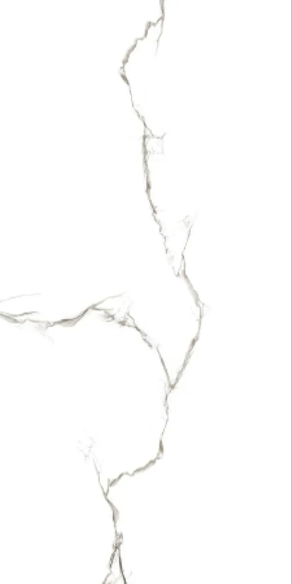 Glossy Finish Statuario Plunk PGVT 600x1200mm