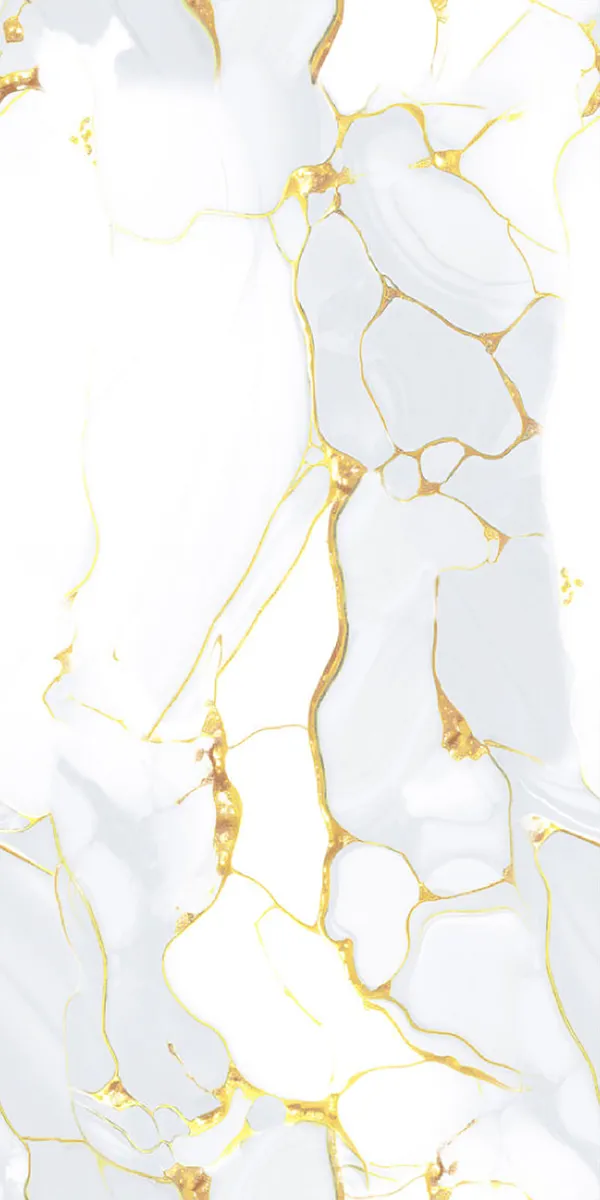 Glossy Finish EM LEQUAD WHITE PGVT 600x1200mm