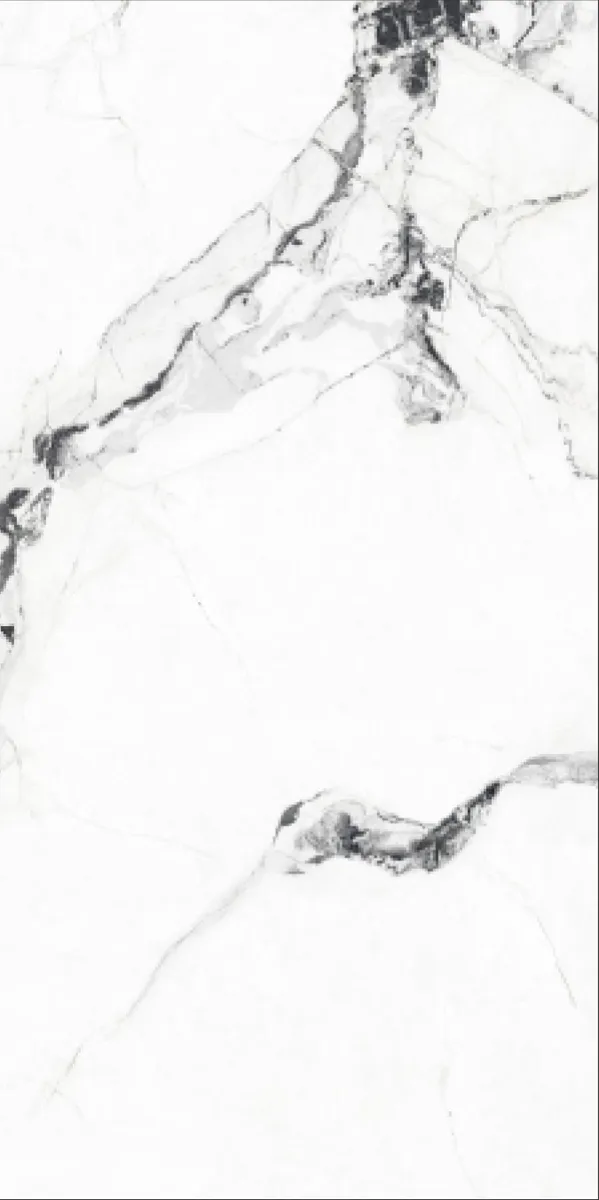 Glossy Finish G 1011 PGVT 600x1200mm