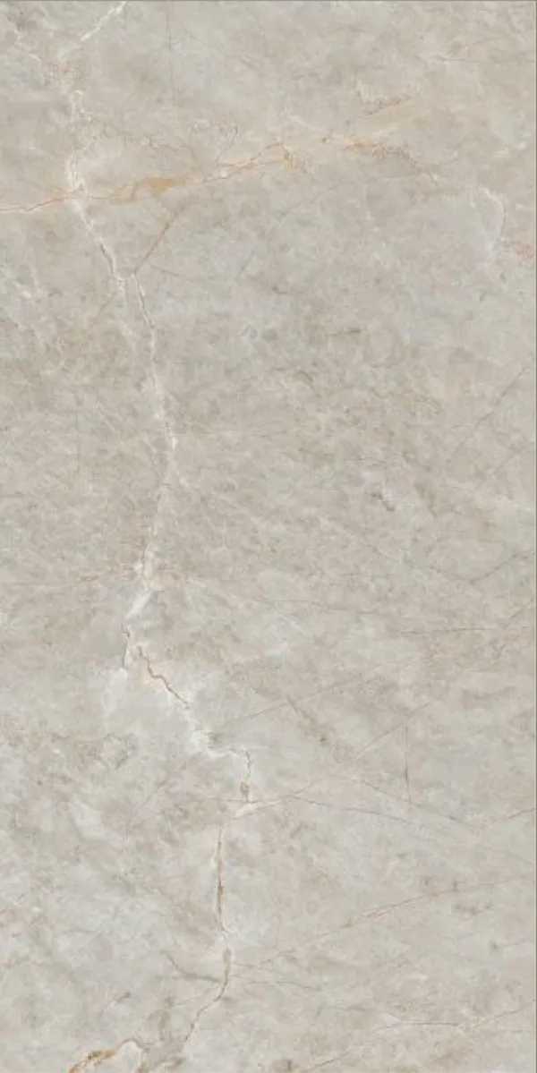 Glossy Finish Terralite Grey PGVT 600x1200mm