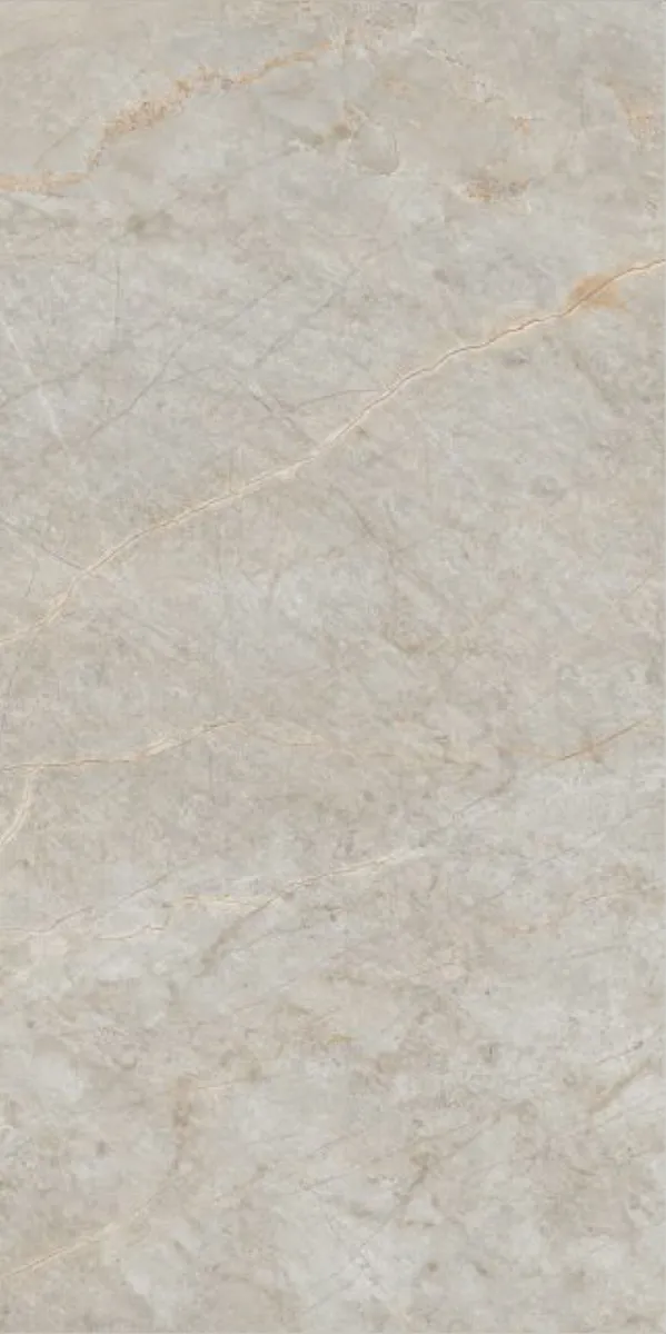 Glossy Finish Terralite Grey PGVT 600x1200mm