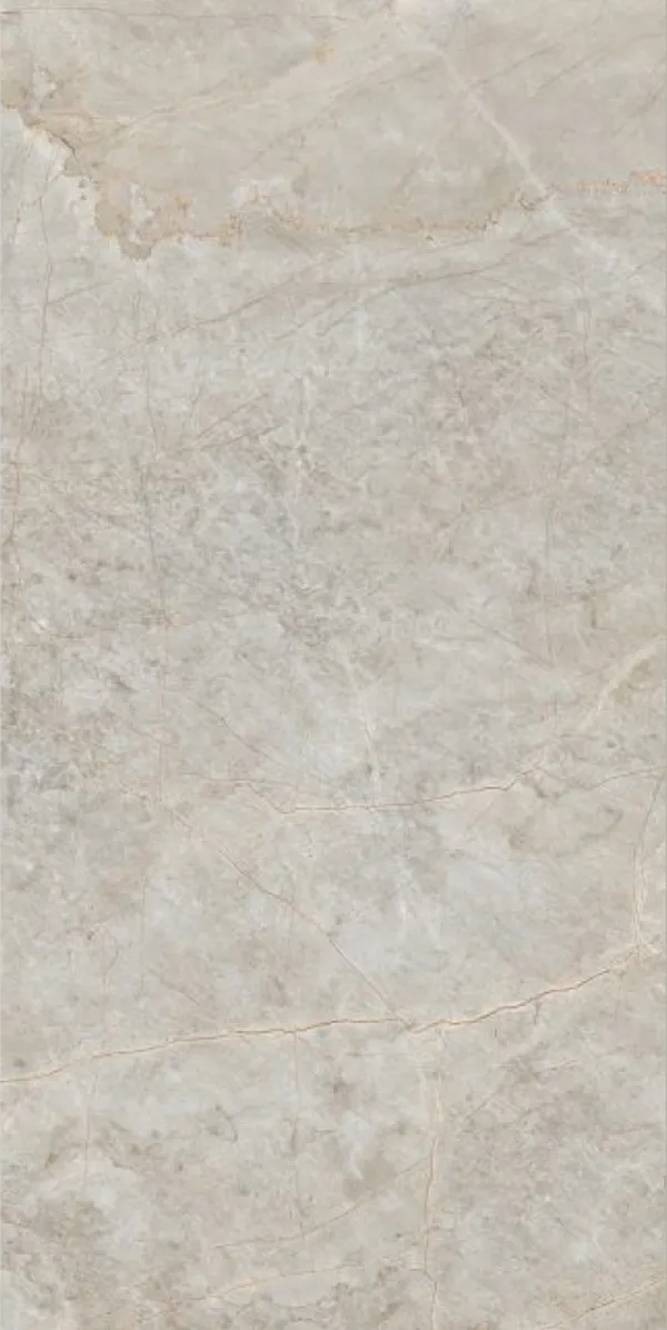 Glossy Finish Terralite Grey PGVT 600x1200mm