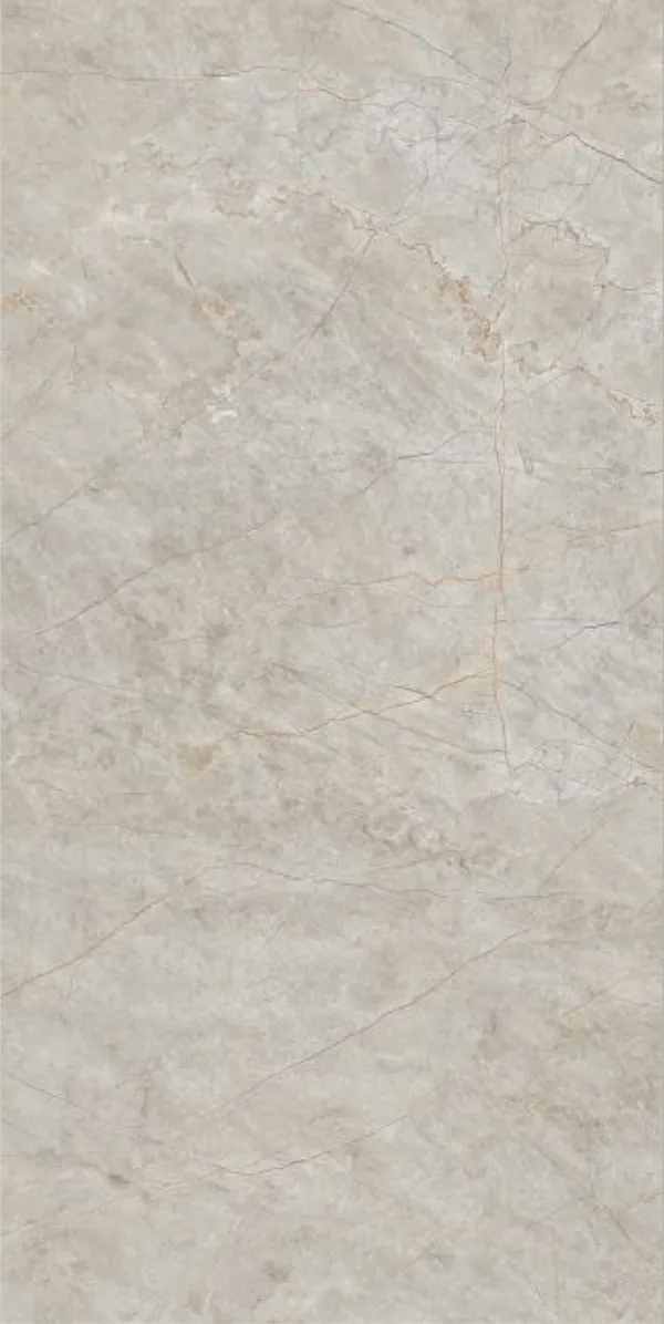 Glossy Finish Terralite Grey PGVT 600x1200mm