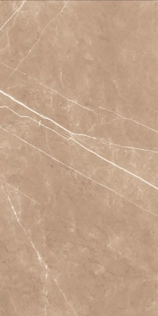 Glossy Finish Thunder Brown PGVT 600x1200mm