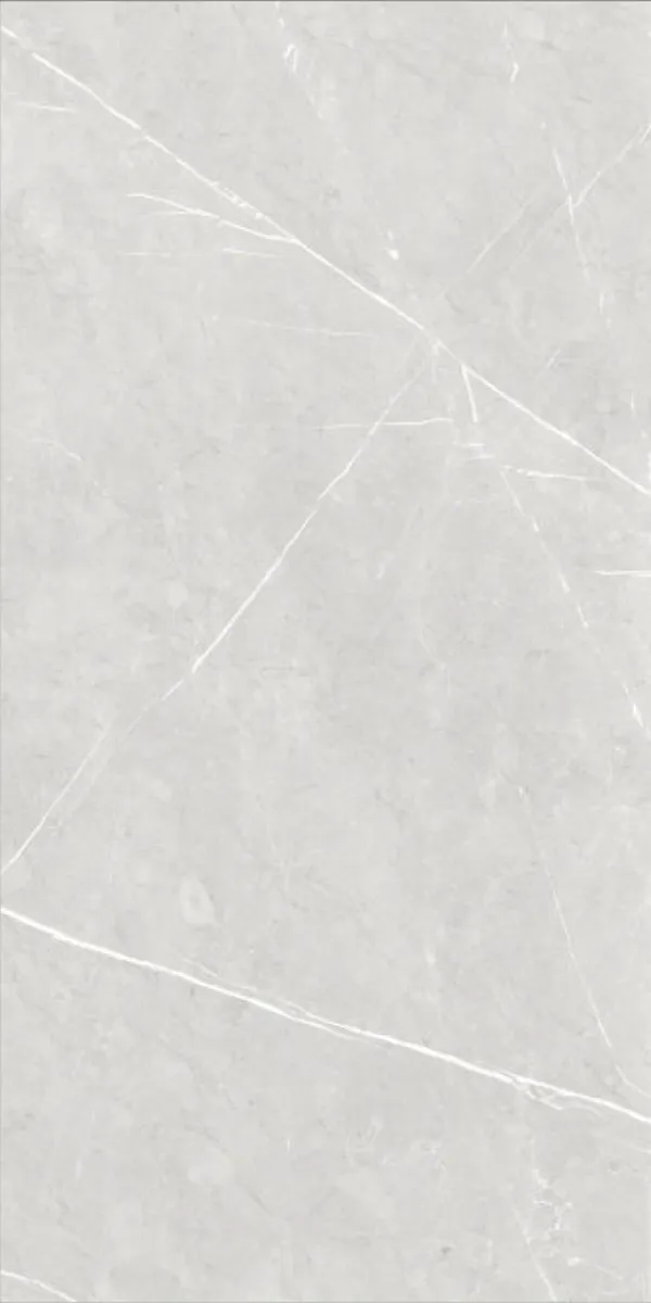 Glossy Finish Thunder Gris  PGVT 600x1200mm