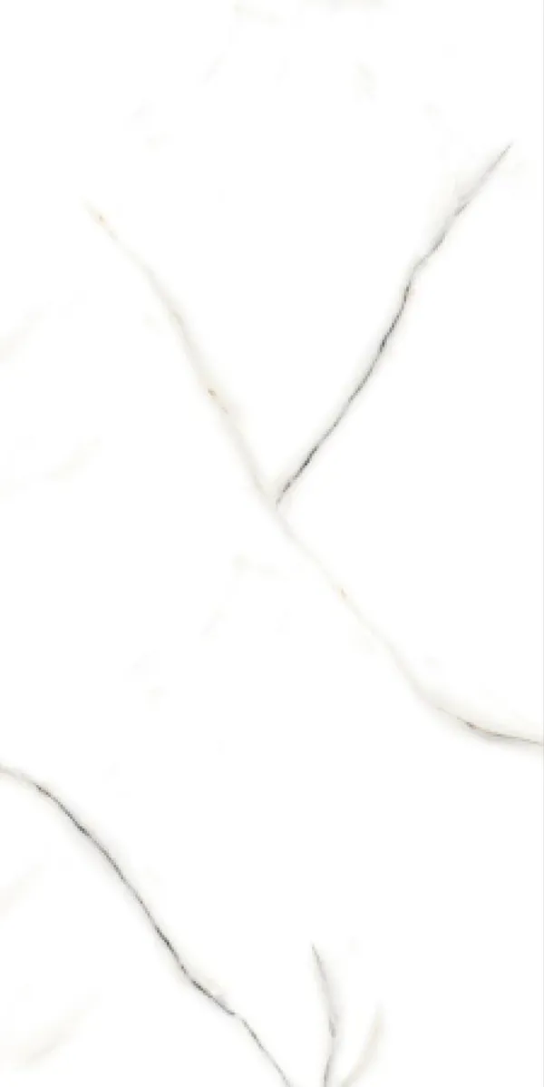 Glossy Finish Vanato Bianco PGVT 600x1200mm
